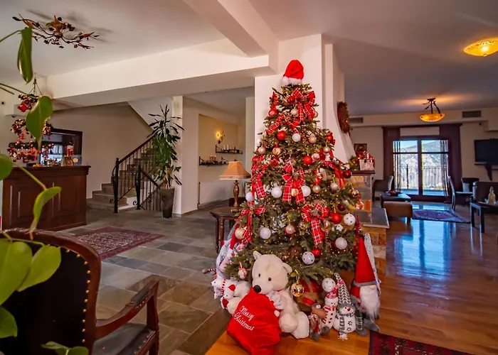 Hotel Erofili & Portaria (Magnesia)